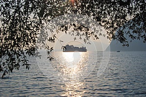 View of Montisola through the frond of an olive tree