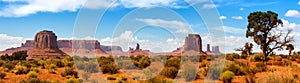 A view in the Monument valley. USA