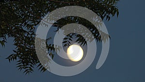 Moon in the night sky