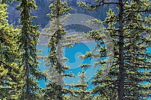 View of Moraine lake from the Valley of Ten Peaks track. Banff national park. Alberta, Canada