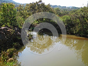 SLOW FLOWING MORELLETA RIVER WITH TREES AND VEGETATION ON THE BANKS photo