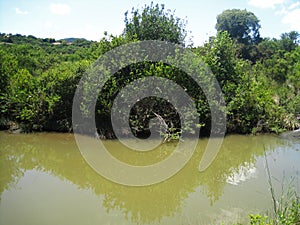 VIEW OF MORELETTA SPRUIT AND SURROUNDING VEGETATION photo