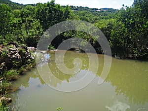 VIEW OF MORELETTA SPRUIT AND SURROUNDING VEGETATION photo