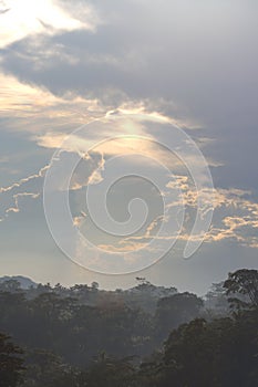 View of morning sky above the jungle canopy, Kwanza Norte