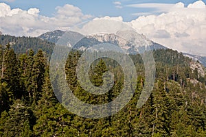 View from Moro Rock