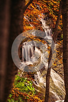 View of Morricana Falls in the forest of "Bosco della Morricana" arounded by an autumn theme in Ceppo, Abruzzo, Italy