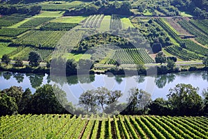 View of Mosel valley photo