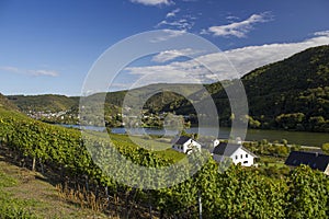View of Moselle river and Valley, Pommern, Germany photo
