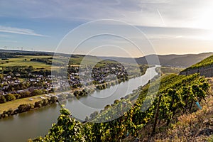 View of the Moselle valley at Brauneberg photo