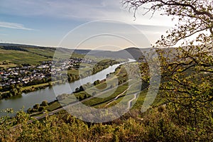 View of the Moselle valley at Brauneberg photo