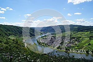 View of the Moselle valley / Mussel valley / Moezel dal