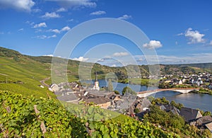 View on Moselle and vineyards in Germany Piesport