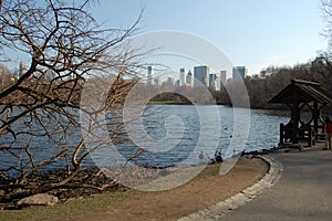 View of the most emblematic buildings and skyscrapers of Manhattan (New York). Central Park photo