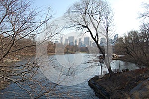 View of the most emblematic buildings and skyscrapers of Manhattan (New York). Central Park photo