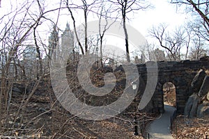 View of the most emblematic buildings and skyscrapers of Manhattan (New York). Central Park photo