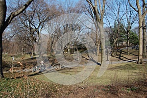 View of the most emblematic buildings and skyscrapers of Manhattan (New York). Central Park. photo