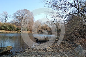 View of the most emblematic buildings and skyscrapers of Manhattan (New York). Central Park photo