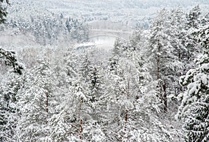 View from mound in winter time
