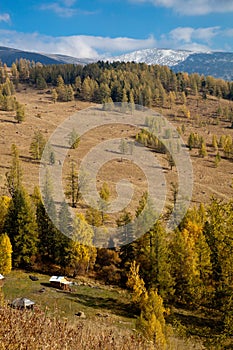 View of Mount Altai sarlyks