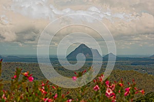 View of Mount Beerwah in the Glass House Mountains in the Glass House Mountains.