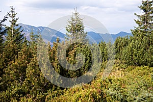 Pohled z hory Chopok za slunečného dne, lyžařské středisko Jasná, národní park Nízké Tatry na Slovensku