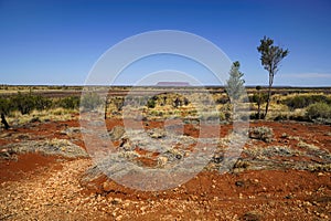 View of Mount Conner