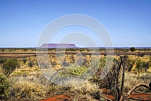 View of Mount Conner in the distance NT