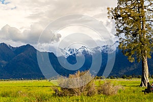 View of Mount Cook and Mount Tasman from Lake Matheson, New Zealand