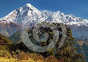 View of mount Dhaulagiri