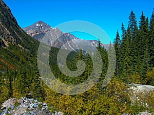 View of Mount Edith Cavell in autumn colors, Rocky Mountains