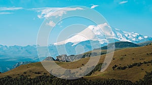 View of Mount Elbrus. Cows graze on green meadows against the background of a snow-capped peak on a sunny summer day. Natural