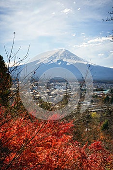 View of Mount Fuji with a beautiful foreground of red pine trees from Chureito pagoda viewpoint, Japan.