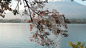 The view of mount Fuji from the side of Lake Kawaguchi in Japan