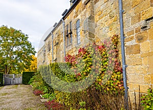 A view of Mount Grace pirory, a monastery in the parish of East Harlsey, North Yorkshire, England