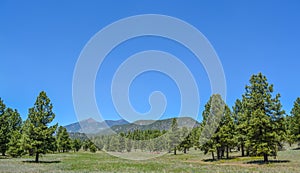 The view of Mount Humphreys and its Agassiz Peak. One of the San Francisco Peaks in the Arizona Pine Forest. Near Flagstaff, Cocon