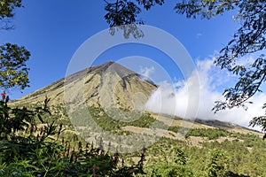 Mount Inerie in flores photo