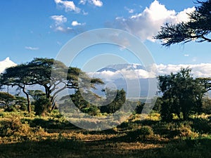 View of Mount Kilimanjaro from Amboseli National Park in Kenya