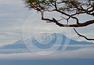 View of Mount Kilimanjaro Kenya, Africa