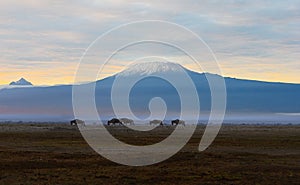 View of Mount Kilimanjaro at sunrise in Kenya, Africa