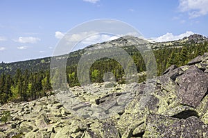 View of Mount Kurgan from the outliers on Mount Zelenaya
