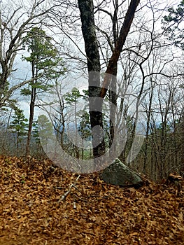 View from mount Nebo, Arkansas