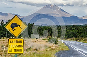 View of Mount Ngauruhoe - Mount Doom from road in Tongariro National Park with kiwi caution crossing at night sign in