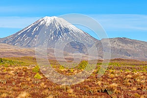 View of Mount Ngauruhoe in the Tongariro National Park, New Zeal