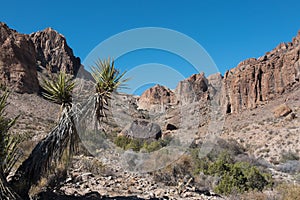 The Black Mountains, Arizona, Mount Nutt Wilderness photo