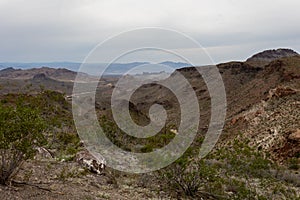 View of the Mount Nutt wilderness a dry desert environment photo