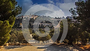 View of Mount of Olives in Jerusalem