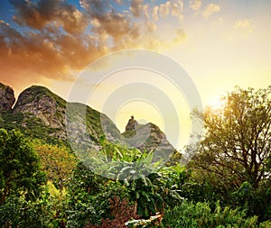 View on the mount Pieter Both at sunset. Mauritius island.