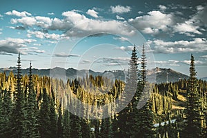 View from Mount Revelstoke across forest with blue sky and clouds. British Columbia Canada.