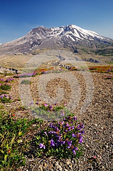 A view of mount saint helens