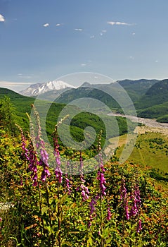 A view of mount saint helens